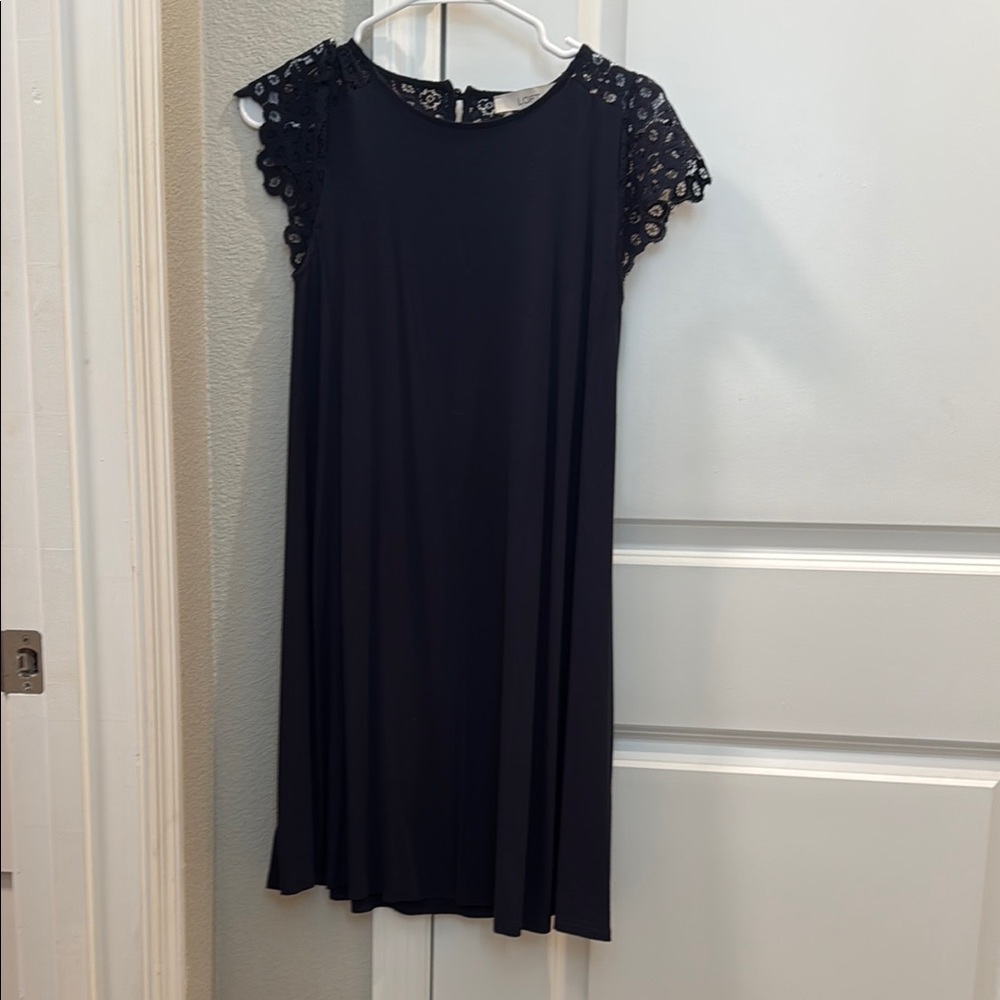 Elegant Black Lace Sleeve Dress